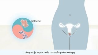 Infekcję drożdżakową pochwy  Przyczyny i leczenie [upl. by Ahders]