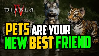 Diablo 4 Pets are your new Best Friend [upl. by Selie]