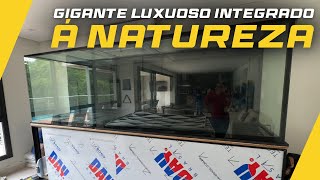 CONSTRUÍMOS UM AQUÁRIO DE 2500 LITROS EM ALPHAVILLE EM MEIO A NATUREZA [upl. by Phionna]