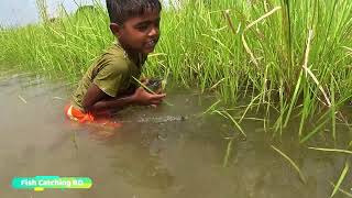 Hand FishingAmazing Boy Big Fish Catching By HandTraditional Village Fishing [upl. by Ridgley]