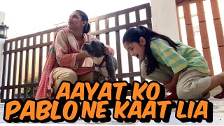 Aayat Arif  Aayat ko PABLO ne kaat lia  vlog [upl. by Volin]