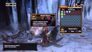 Lets Play MH3U Pt 20 Bagged a Baggi [upl. by Antrim653]