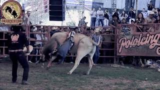 Ordeñando La Vaca  Banda Retoño SONES CON BANDA [upl. by Nievelt]