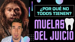 ¿A todo el mundo le SALEN las MUELAS DEL JUICIO ¿Para qué sirven shorts [upl. by Anaugahs]