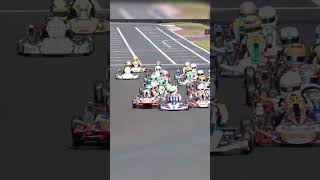 WHEELIE at the start of GoKart Race nearly crashed [upl. by Rogerio352]