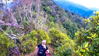 Mount Olympus Awaawaloa via Kolowalu Trail  Honolulu Oahu [upl. by Helfant158]