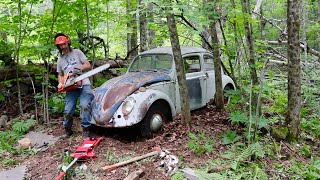 ABANDONED Car Rescued From Woods After 50 Years  1960 VW Beetle  4 Full Restoration [upl. by Stillas886]