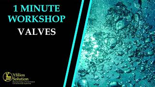 1 Minute Workshop – Valves in Water Reticulation System [upl. by Airdnahc]