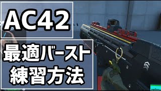 【BF2042】理論値最強AR！！AC42最適バースト練習方法 [upl. by Sac]