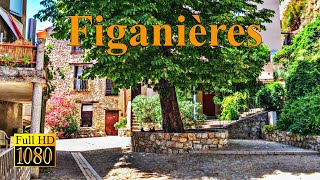 FIGANIERES 🌞 Village du Var 🌞 Visite des villes et villages Français [upl. by Goat]