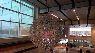 Liberty Science Center ball  Hoberman sphere [upl. by Ahsinelg931]