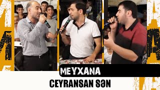 CEYRANSAN SEN  Super Muzukalni  Elshen XEZERPerviz BULBULEResad DAGLI  MEYXANA [upl. by Navonod354]