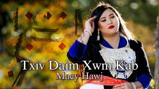 Txiv Daim Xwm Kab  Macy Hawj Official AudioLyrics [upl. by Nesto]