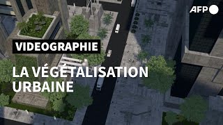 Comprendre la végétalisation urbaine  AFP [upl. by Meehaf]