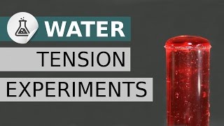Tension superficielle 20 expériences de tension de l’eau tension de surface et énergie de surface [upl. by Lilian]
