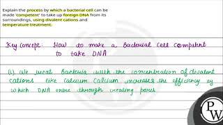 Explain the process by which a bacterial cell can be made competent to take up foreign DNA fro [upl. by Leonora]