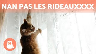 Comment EMPÊCHER mon chat de GRIMPER de PARTOUT 🌳🐈 [upl. by Stag]