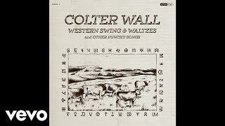 Colter Wall  Big Iron Audio [upl. by Gamal]