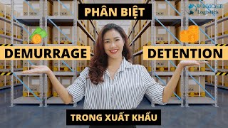 Episode 15  LOGISTICS  PHÂN BIỆT DEMURRAGE VS DETENTION  DEM VS DET TRONG XUẤT KHẨU Part I [upl. by Etteniotna264]