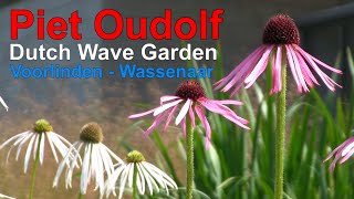 Piet Oudolf Dutch Wave Garden Voorlinden Wassenaar 202307 [upl. by Nomzed]