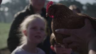 Zorgboerderij Megusta in Beerse ook voor kinderen met beperking [upl. by Sheply]