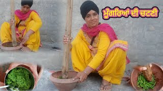 Moongre ki chutneyHow to make moongre ki chutney  Moongre ki chatni punjabi styleChutney Recipes [upl. by Irt989]