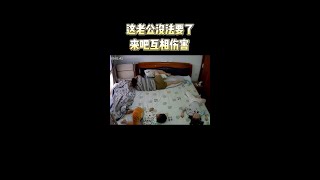 這個覺不睡也罷來吧 互相傷害 家庭日常監控下的一幕 [upl. by Crofoot]