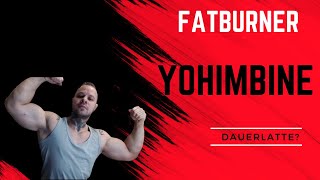 Yohimbine Fatburner und Dauerlatte [upl. by Jadd403]