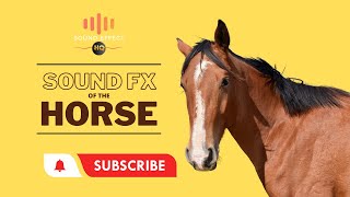 HORSE complete  Sound Effect HQ [upl. by Nylekoorb289]