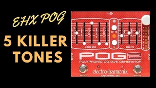 5 Killer Tones  EHX POG2 [upl. by Fabria299]