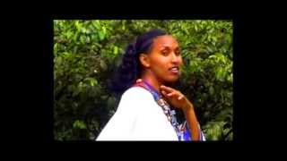 Ethiopian Amharic MusicGenet Masresha wollo [upl. by Ibba]