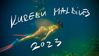 Kuredu Island Resort Maldives  Secrets of the Deep [upl. by Finella]