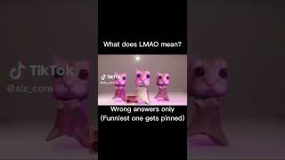 wHaT DoEs LmAo MeAn wrong answer only and funny comment gets pinned [upl. by Yrtneg]