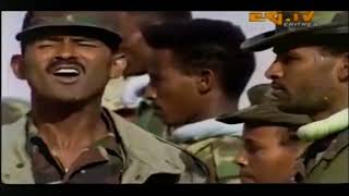 Eritrean Music  Wedi sheik ሳእሎባ  ሕላይ ትግራይት ኢሪትሪያ [upl. by Bobbette]