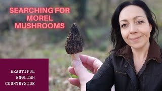 UK Foraging For Morels  South Downs Hampshire  Spring Vlog [upl. by Blackwell]