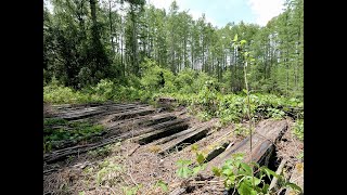 Abandoned Railroad in Goethe State Forest [upl. by Ingles]