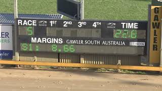 Gawler30082024Race5 [upl. by Etra]