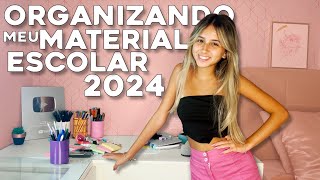 ORGANIZANDO MINHA ESCRIVANINHA COM MATERIAL ESCOLAR [upl. by Garreth]