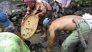 Cara Tradisional Menangkap Ikan di Sungai  MARAK 6 [upl. by Cordalia503]