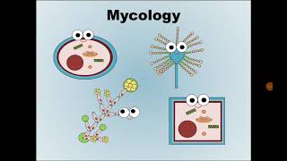 1 Mycology علم الفطريات [upl. by Ogaitnas]