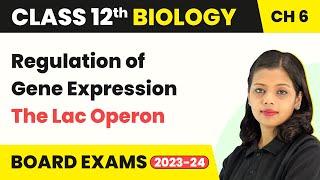 Class 12 Biology Regulation of Gene Expression  Class 12 Biology Chapter 6 The Lac Operon 202223 [upl. by Heyra]