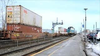 SERIOUS TRAIN SPOTTING IN MONTREAL QUEBEC [upl. by Etnuahc]