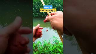 Fishing short video  latest match fishing  unique hook fishing fish fishing bait rivercarp [upl. by Claretta]