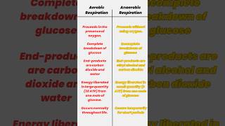 Aerobic vs Anaerobic Respiration in Plants  Key Differences Explained [upl. by Nadnarb]