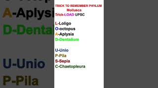 Trick to remember phylum mollusca neet biology trick mnemonics mollusca animalkingdomclass11 [upl. by Adnawuj367]