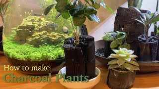 How to make Charcoal Plants  Ornamental plants that look like interior goods [upl. by Yenal]