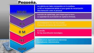 Clasificación y Carcacterísticas de las Pymes [upl. by Nielson]