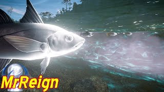 Assassins Creed Valhalla Big Fish Locations Big Fish Guide Some Still Bugged After Recent Update [upl. by Aihsenyt889]