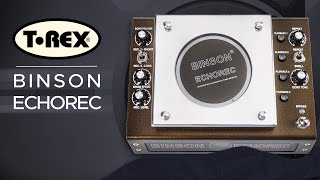 TRex Binson Echorec Drum Delay Sound Demo no talking with Roland SH01a Synth and MEGA FM [upl. by Deland]