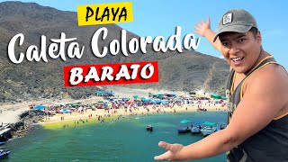 CALETA COLORADA EN CHIMBOTE  COMO LLEGAR  BARATO  PEPE VLOGGER [upl. by Cilo]